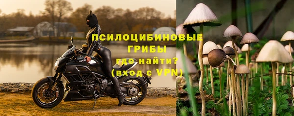 прущий лед Дмитров