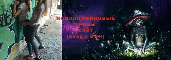 гидра Дмитровск