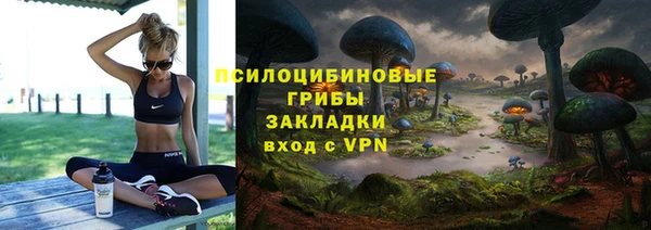 гидра Дмитровск